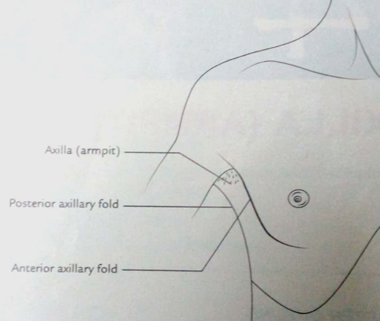 Picture6.png
