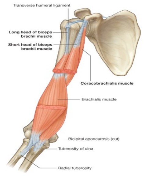 Picture13.jpg