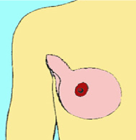 Picture15.png