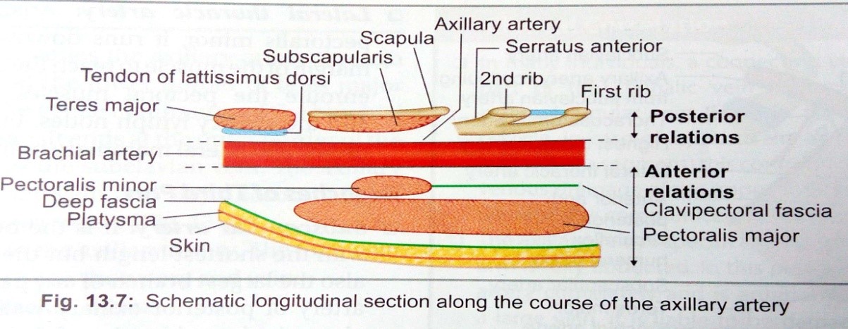 Picture20.jpg