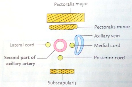 Picture21.jpg