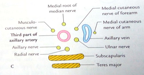 Picture22.jpg