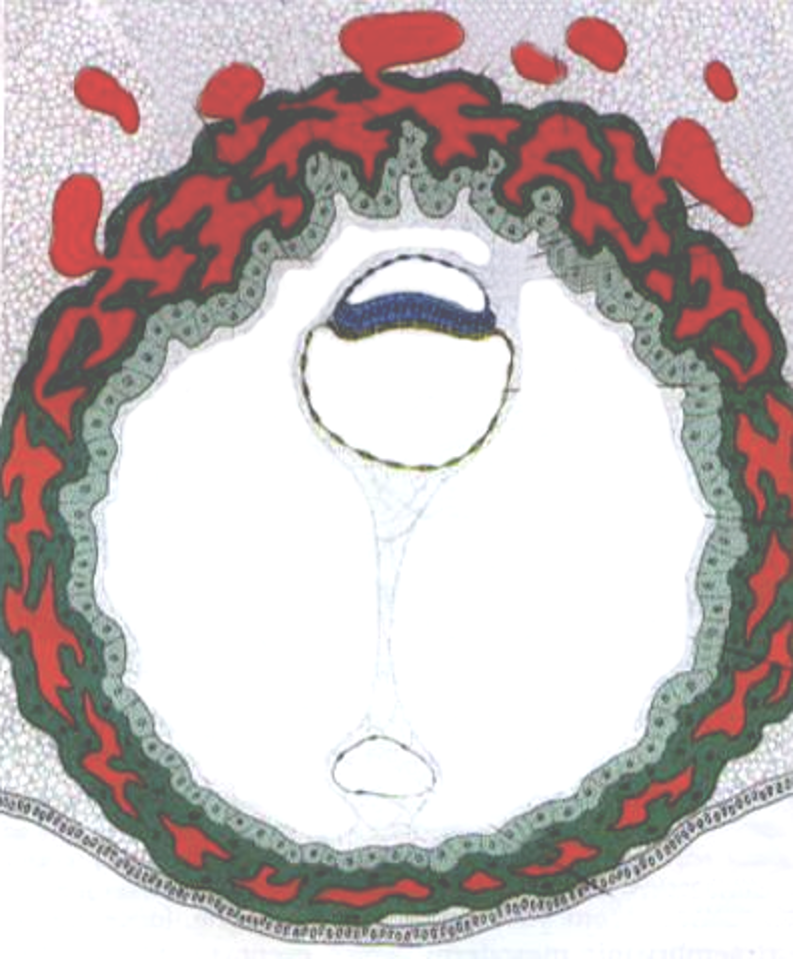 Picture12.png
