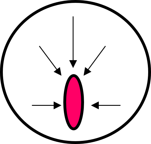 Picture19.png