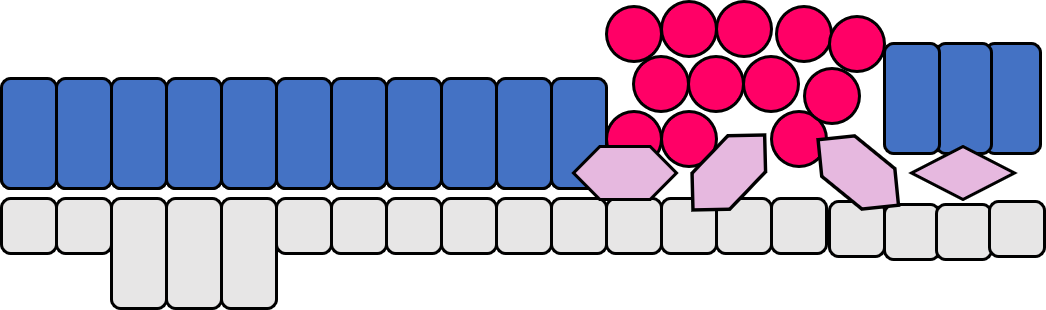 Picture20.png