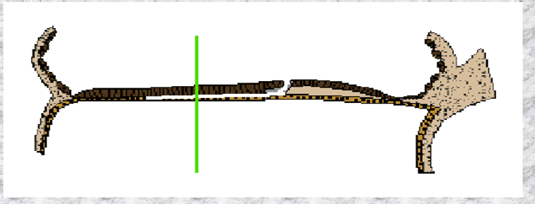 Picture34.png