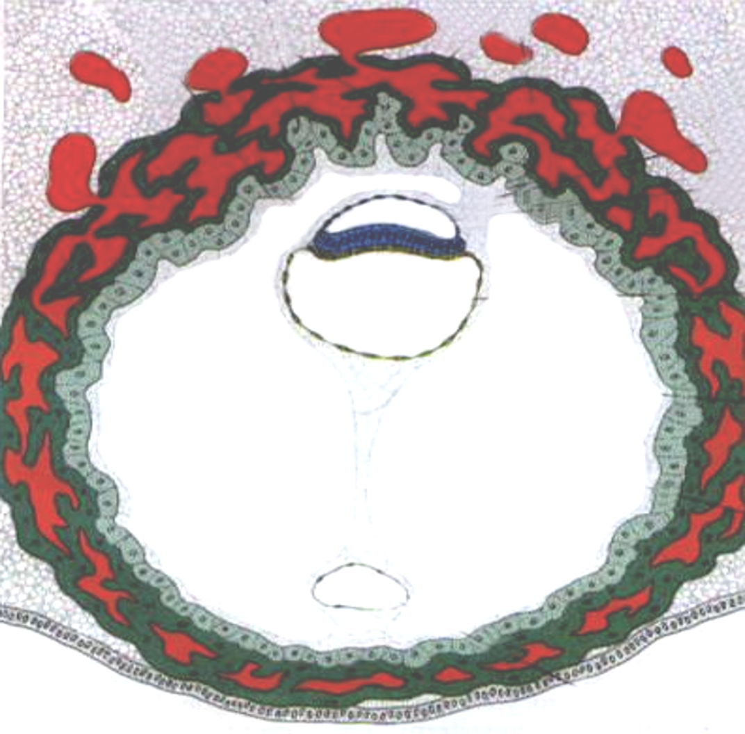 Picture64.png