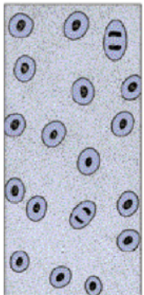Picture4.png