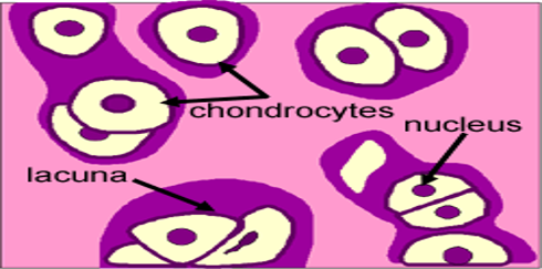 Picture13.png