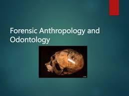 Forensic Anthropology & Odontology.jpg