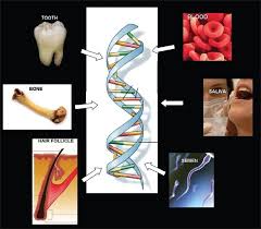 Forensic Biology & DNA Analysis.jpg