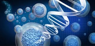Tissue Engineering and Regenerative Medicine 1.jpg
