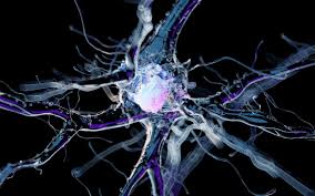 Neuro engineering 1.jpg