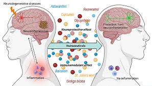 Neurodegenerative Diseases.jpg
