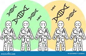 Population Genetics.jpg