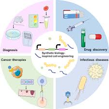 Genetic Engineering and Synthetic Biology.jpg