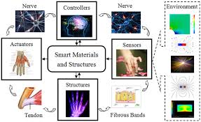 Smart Materials.jpg