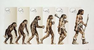 Evolutionary Biology.jpg