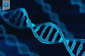 Molecular Biology & Genetics.jpg