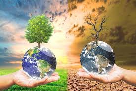  Environmental Conservation.jpg