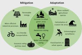 Climate Change Mitigation and Adaptation.jpg