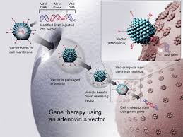 Applications of Biotechnology in Healthcare Introduction.jpg