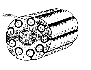 picture14.png
