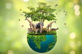 Wildlife Conservation.jpg