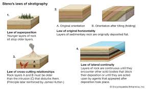 Stratigraphy and Paleontology.jpg