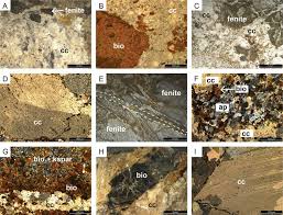 Mineralogy and Petrology.jpg