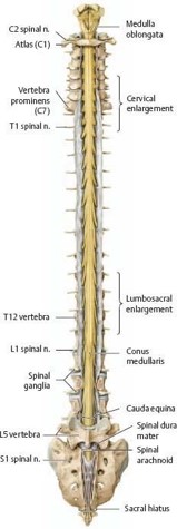 Picture2.jpg