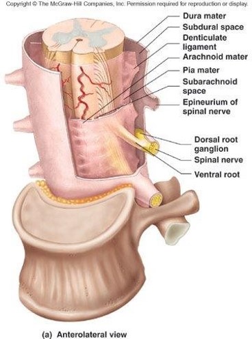 Picture3.jpg