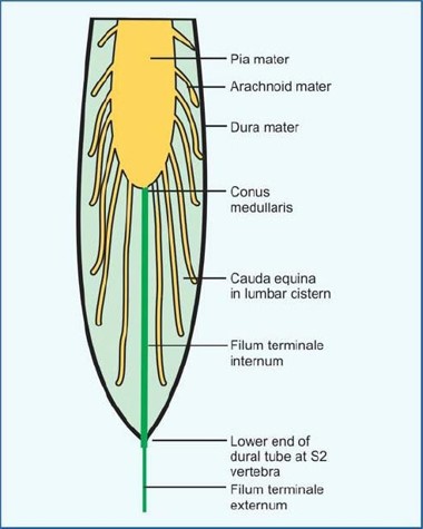 Picture4.jpg
