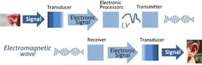 Signals and Systems in usage.jpg