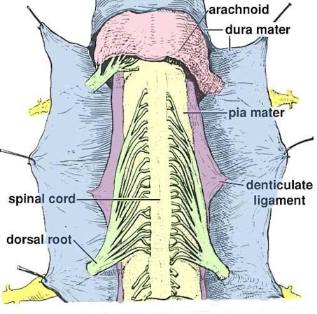 Picture5.jpg