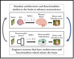Neuromorphic Engineering.jpg