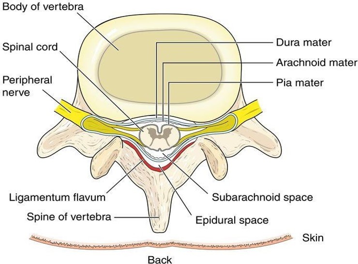 Picture9.jpg