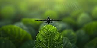 Sustainable Aviation in Aerospace Engineering    1.jpg