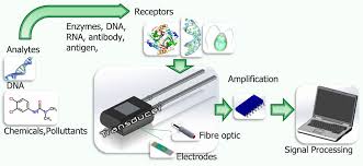 Biosensors.jpg