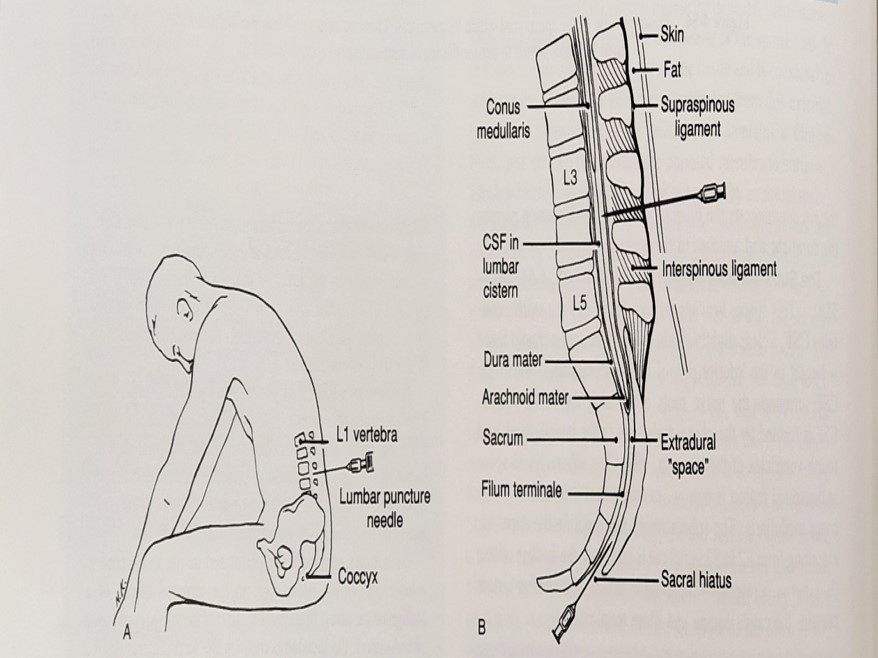 Picture15.jpg