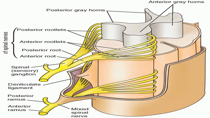 Picture19.jpg
