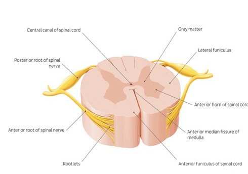 Picture10.jpg