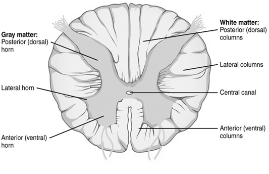 Picture11.png