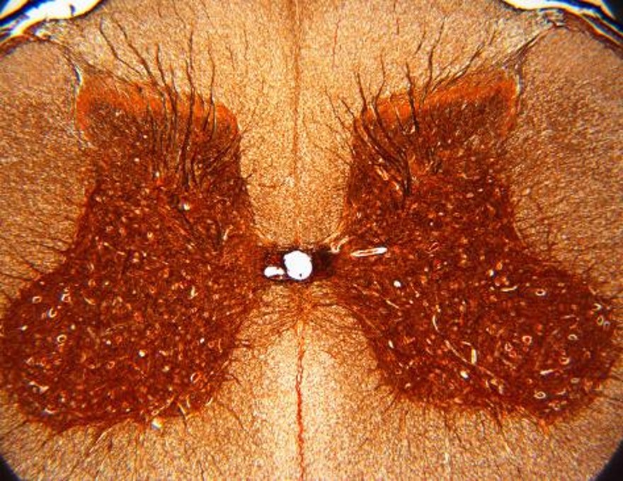 Picture16.jpg