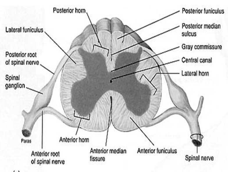 Picture29.jpg