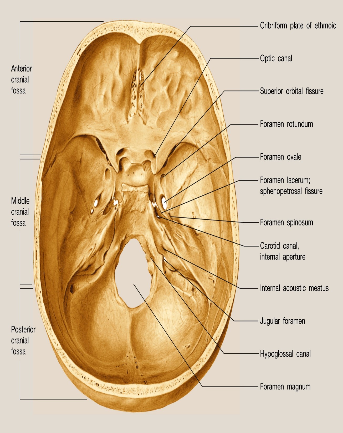 Picture5.jpg