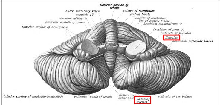 Picture11.png