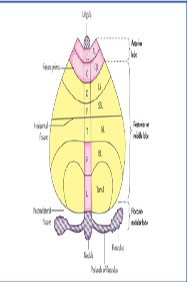 Picture14.png
