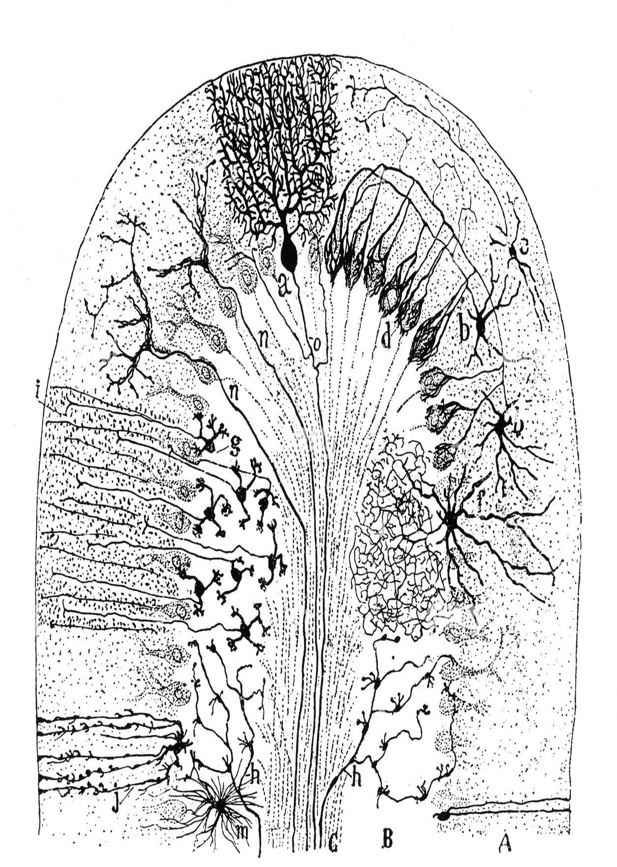 Picture26.jpg
