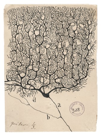 Picture27.jpg
